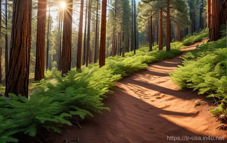 미국 도로명 유래 - **Prompt: "Navajo Trail in Arizona Forest"**
A wide-angle, serene landscape of a "Navajo Trail" ...